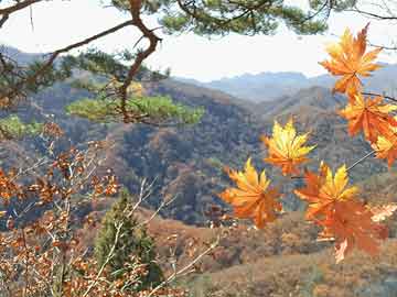 南漳50岁吃打胎药能行吗（50岁打胎危险吗）